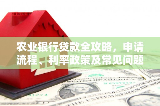 阳新农业银行贷款全攻略，申请流程、利率政策及常见问题解析