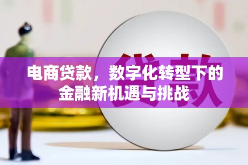阿勒泰电商贷款，数字化转型下的金融新机遇与挑战