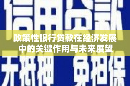 乐清政策性银行贷款在经济发展中的关键作用与未来展望