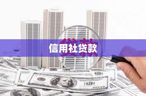 嵩县信用社贷款
