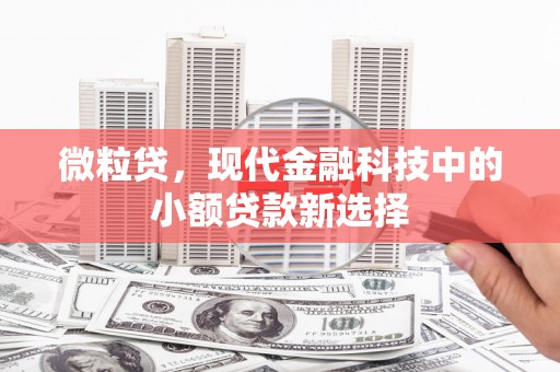 东乡族微粒贷，现代金融科技中的小额贷款新选择