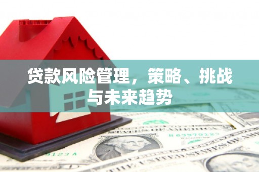 温宿贷款风险管理，策略、挑战与未来趋势