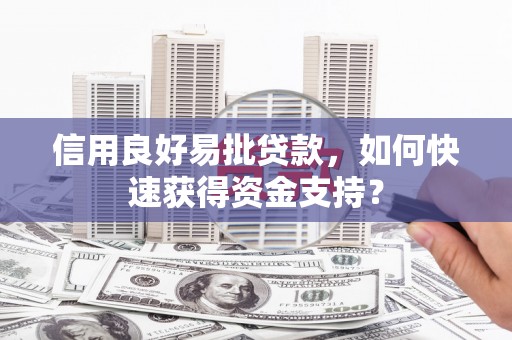 新华信用良好易批贷款，如何快速获得资金支持？