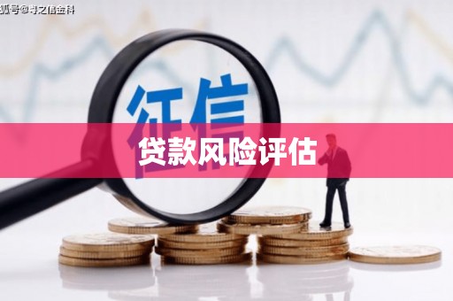 甘井子贷款风险评估