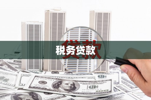 普格税务贷款