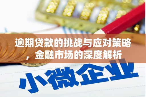 双柏逾期贷款的挑战与应对策略，金融市场的深度解析