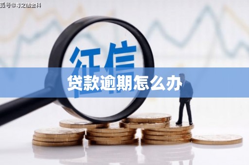 兴宾贷款逾期怎么办