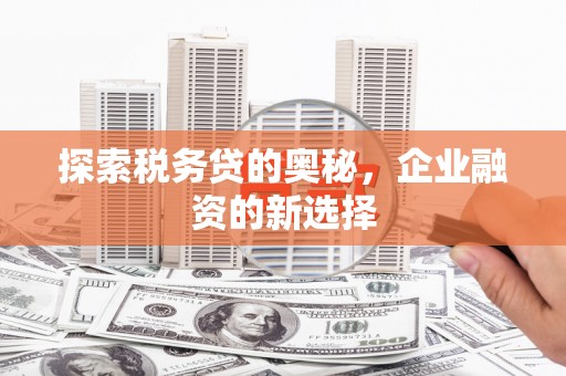 丰都探索税务贷的奥秘，企业融资的新选择