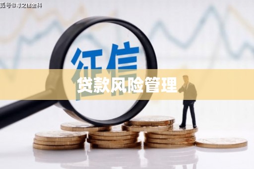 光泽贷款风险管理