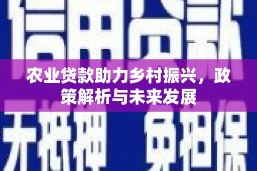 济宁农业贷款助力乡村振兴，政策解析与未来发展
