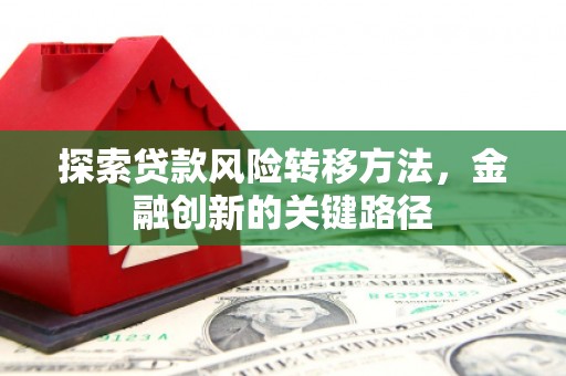 安乡探索贷款风险转移方法，金融创新的关键路径
