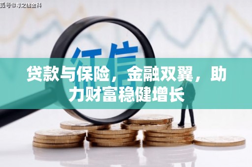 武义贷款与保险，金融双翼，助力财富稳健增长