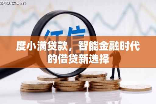 沧县度小满贷款，智能金融时代的借贷新选择