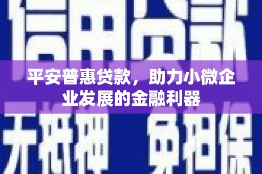 北仑平安普惠贷款，助力小微企业发展的金融利器
