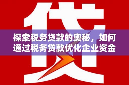 民丰探索税务贷款的奥秘，如何通过税务贷款优化企业资金流