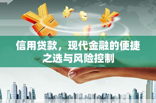 大社信用贷款，现代金融的便捷之选与风险控制