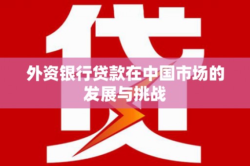 大丰外资银行贷款在中国市场的发展与挑战