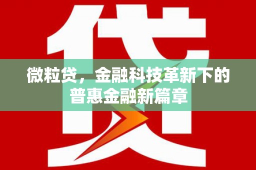 浑源微粒贷，金融科技革新下的普惠金融新篇章