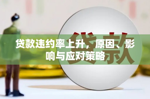 循化贷款违约率上升，原因、影响与应对策略