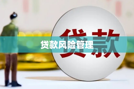 鱼峰贷款风险管理