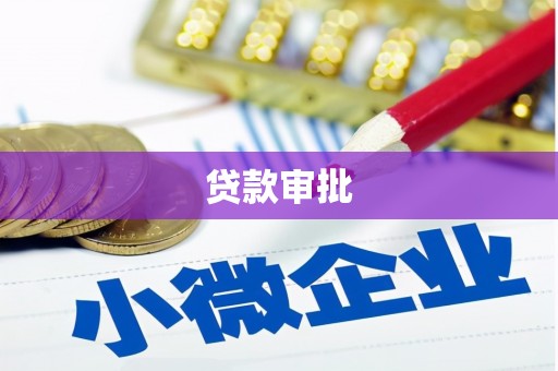永新贷款审批