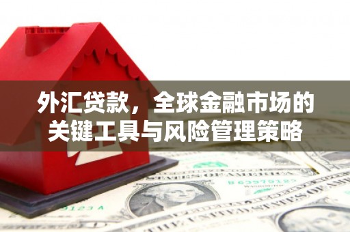 磁县外汇贷款，全球金融市场的关键工具与风险管理策略