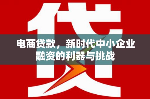 刚察电商贷款，新时代中小企业融资的利器与挑战