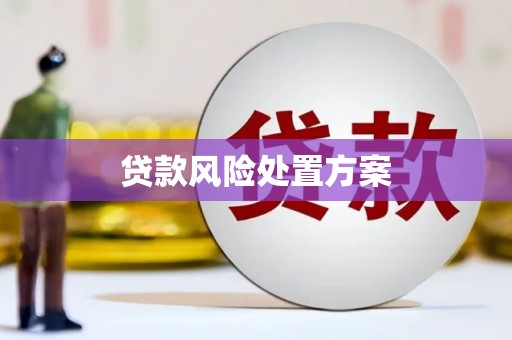 汶川贷款风险处置方案