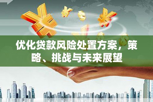 康保优化贷款风险处置方案，策略、挑战与未来展望