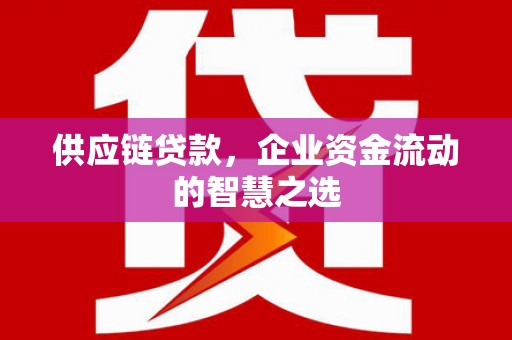 民和供应链贷款，企业资金流动的智慧之选