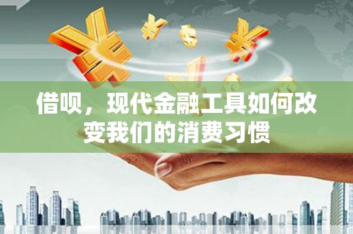 舞阳借呗，现代金融工具如何改变我们的消费习惯