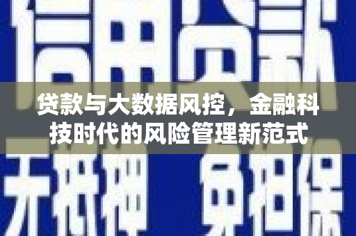 塘厦贷款与大数据风控，金融科技时代的风险管理新范式