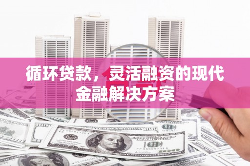 庄浪循环贷款，灵活融资的现代金融解决方案