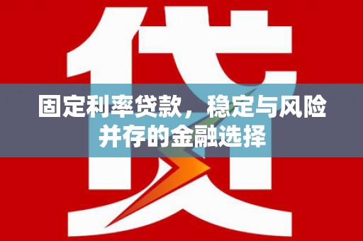 沂南固定利率贷款，稳定与风险并存的金融选择