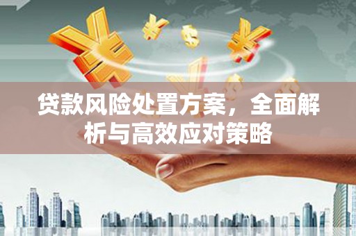 闸北贷款风险处置方案，全面解析与高效应对策略