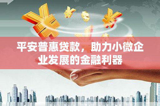 丰县平安普惠贷款，助力小微企业发展的金融利器
