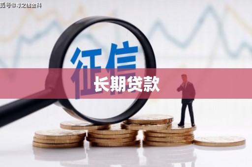 玉井长期贷款