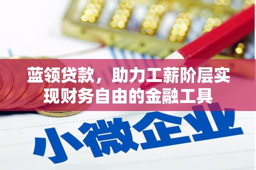 赵县蓝领贷款，助力工薪阶层实现财务自由的金融工具