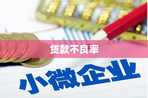 蠡县贷款不良率