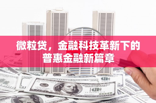 屯门微粒贷，金融科技革新下的普惠金融新篇章