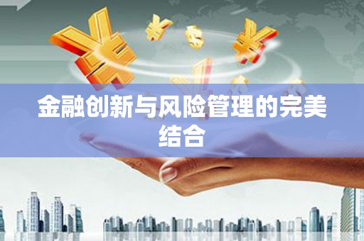 新泰金融创新与风险管理的完美结合