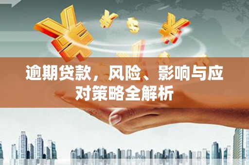 南岸逾期贷款，风险、影响与应对策略全解析