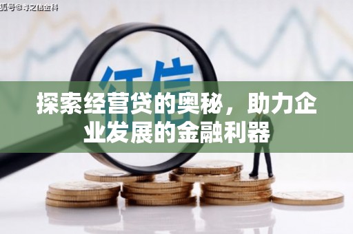 灌云探索经营贷的奥秘，助力企业发展的金融利器
