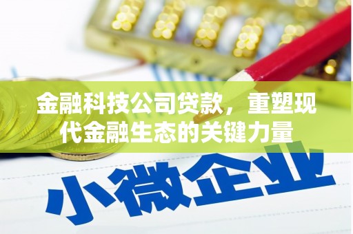 安次金融科技公司贷款，重塑现代金融生态的关键力量