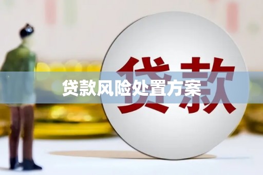 吴起贷款风险处置方案