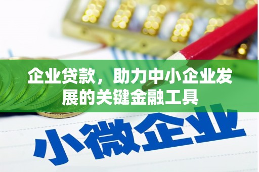 温宿企业贷款，助力中小企业发展的关键金融工具