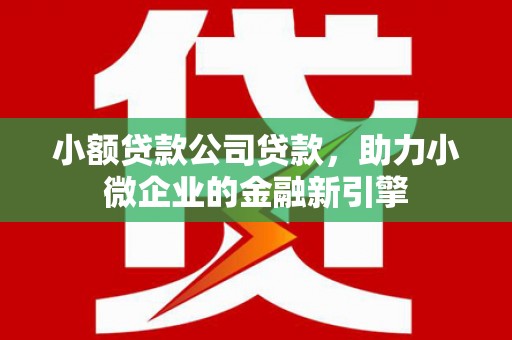 屏边小额贷款公司贷款，助力小微企业的金融新引擎