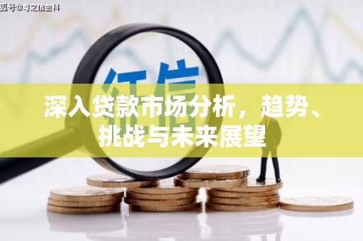 仁寿深入贷款市场分析，趋势、挑战与未来展望
