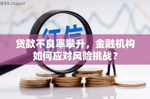 漾濞贷款不良率攀升，金融机构如何应对风险挑战？