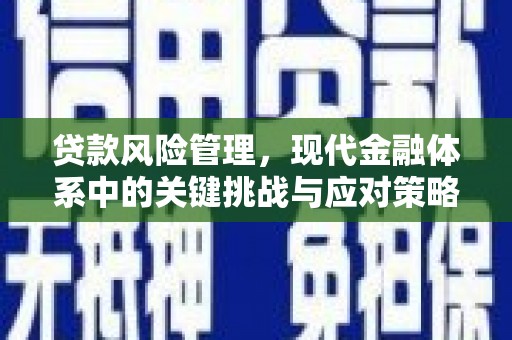 宁河贷款风险管理，现代金融体系中的关键挑战与应对策略